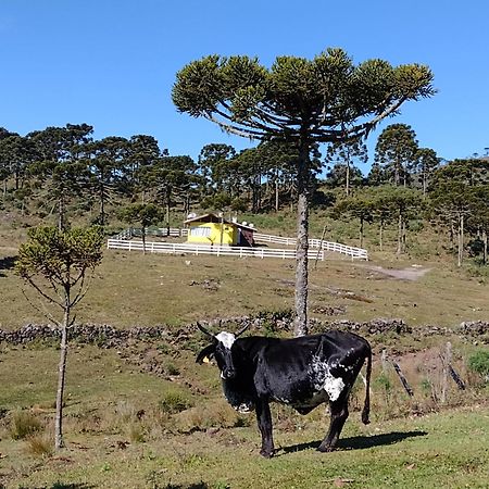 Casa E Cabana De Campo Fazenda Borba Urubici Luaran gambar