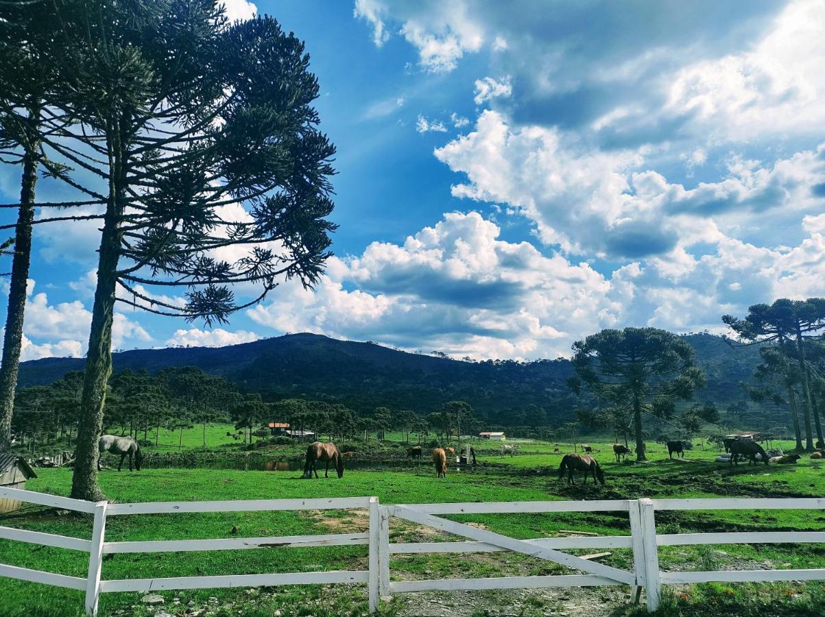 Casa E Cabana De Campo Fazenda Borba Urubici Luaran gambar
