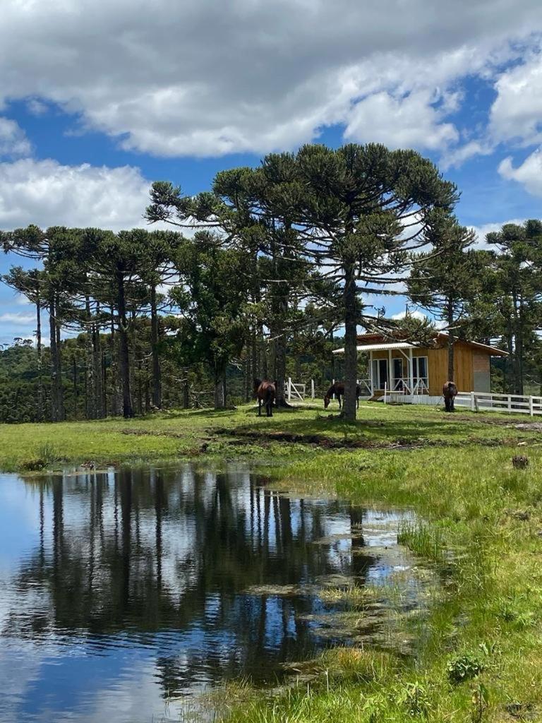 Casa E Cabana De Campo Fazenda Borba Urubici Luaran gambar