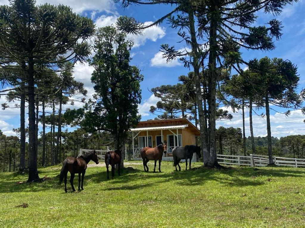 Casa E Cabana De Campo Fazenda Borba Urubici Luaran gambar