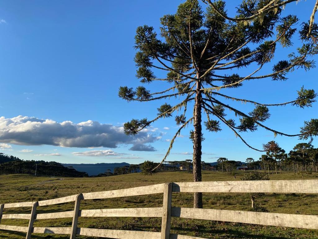 Casa E Cabana De Campo Fazenda Borba Urubici Bilik gambar