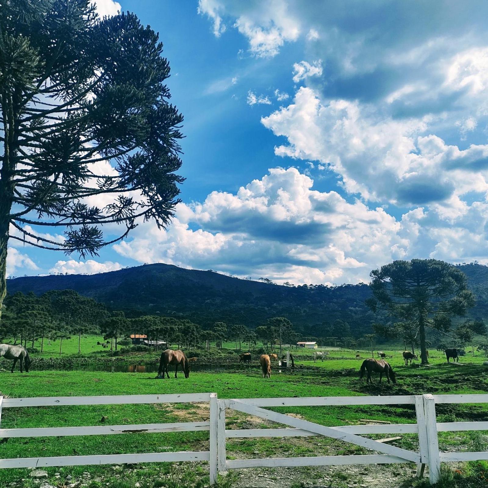 Casa E Cabana De Campo Fazenda Borba Urubici Luaran gambar