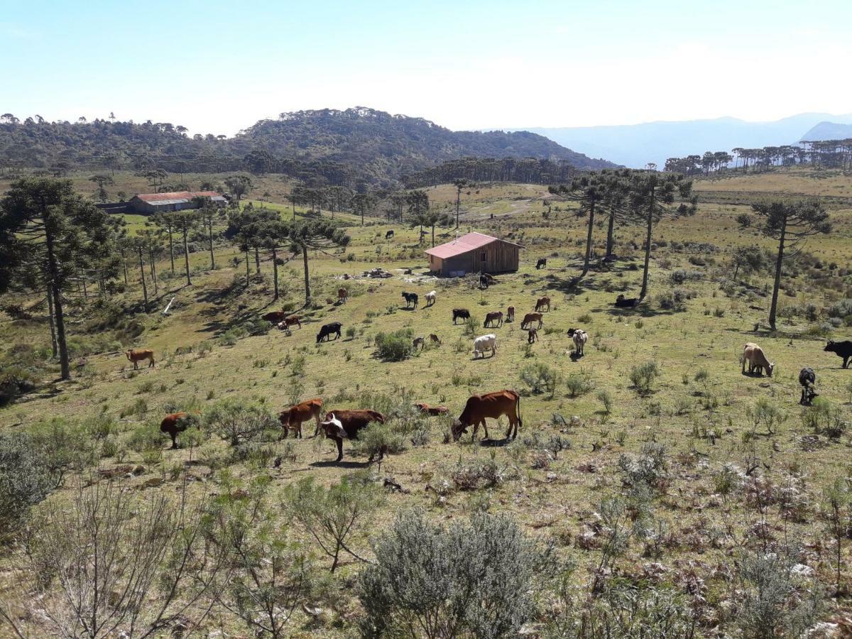 Casa E Cabana De Campo Fazenda Borba Urubici Luaran gambar